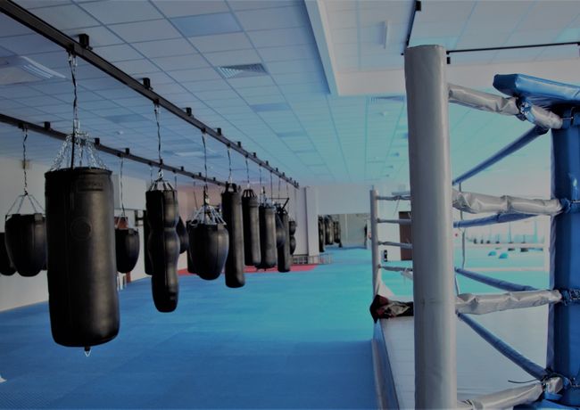 ЕЛІТ продукція від «Бойко-Cпорт» для тренування Олімпійських чемпіонів