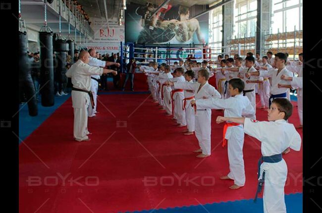 Fight Baza